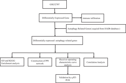 Figure 1 Workflow chart of the study.