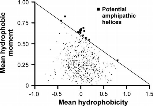 Figure 6.  Hydrophobic moment plot of Gut2. For a sliding window of 11 residues the mean hydrophobic moment was calculated and plotted vs. its mean hydrophobicity. In case the hydrophobic moment exceeds a threshold (the oblique line), these 11 residues are proposed to be part of an amphipathic helix as indicated by the squares.