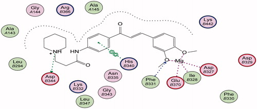 Figure 7. 3D binding mode and residues involved in the recognition of active compound 38 at active site (c-di-GMP).