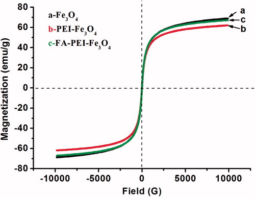 Figure 4. Magnetization curve of naked Fe3O4 (a), PEI-Fe3O4 (b) and FA-PEI-Fe3O4 (c) at room temperature..