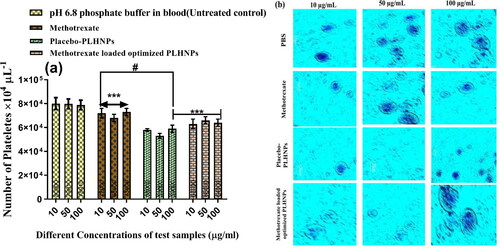 Figure 9. (a) Number of platelets counts after treatment with PBS, methotrexate, placebo-lipid hybrid nanoparticles and methotrexate-loaded optimised lipid hybrid nanoparticles at different concentrations (10, 50 and 100 µg/mL). As per Bonferroni’s multiple comparisons test (values are represented as mean ± SD (n = 3)), ***indicates high statistical significance (p < .001) and # indicates insignificance (p = .4037) as compared to the different concentrations of methotrexate; all the formulations were compared against with treated controlled group (methotrexate treatment). (b) Light microscopy images of platelets with different treatments at prescribed concentration.