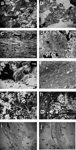 Figure 4 Metamorphic mineral assemblages. (a) Mt Furner 1, showing sillimanite inclusions in garnet and late coarse-grained muscovite growth. (b) Manya 4, garnet, biotite and quartz with weathering products. (c) Lake Maurice East 1, garnet, magnetite, sillimanite with quartz ribbons. Alteration products are pseudomorphing plagioclase and cordierite. (d) Lake Maurice East 1, garnet and magnetite symplectite textures. (e) Ooldea 2, garnet and magnetite symplectite. (f) Enhanced photograph of Ooldea 2 drillcore demonstrating UHT fine-grained mylonitic fabric (taken from Teasdale 1997). (g) AM/PB 3, breakdown texture of garnet to orthopyroxene. (h) AM/PB 3, fine-grained shear fabric overprinting primary coarse-grained fabric. (i) AM/PB 1, coarse-grained garnet showing sillimanite inclusions paralleling the curved foliation enclosing the garnet in the matrix. (j) AM/PB 1, coarse-grained cordierite enclosed by quartz and sillimanite. bi, biotite; gt, garnet; mag, magnetite; mus, muscovite; opx, orthopyroxene; plg, plagioclase; qtz, quartz; sill, sillimanite; cd, cordierite; (cd), clay minerals after cordierite; (plg), clay minerals after plagioclase; wth, indeterminate weathering products.
