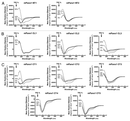 Figure 3. Circular Dichroism (CD) analysis of mPanx1 peptides. CD spectra of (A) mPanx1 NT1 and NT2, (B) mPanx1 CL1, CL2, and CL3, (C) mPanx1 CT1, CT2, CT3, CT4, and CT5 in 1x PBS in the presence of 0 (solid line), 5 (dashed line), 15 (dotted line) and 30% (dashed and dotted line) TFE (2,2,2-trifluoroethanol).