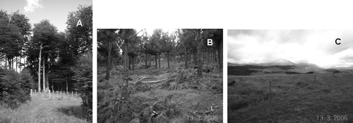 Figure 1.  Sites of lenga forest (Nothofagus pumilio) (A), pine plantation (Pinus ponderosa) (B), and pasture (C) on volcanic soil (Typic Hapludands; Umbric Andosols) in the Chilean Patagonia.