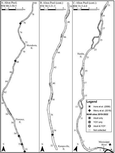 Figure 6. Map of 2019–2022 Round goby captures from Alton Pool of the Illinois Waterway. Note that RM stands for river mile.