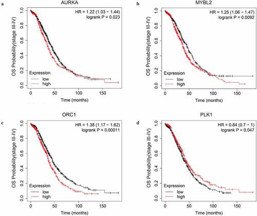 Figure 6. The OS curves of the key genes with significant prognostic value analyzed on 1023 SOC patients of stage III+IV by Kaplan-miere plotter