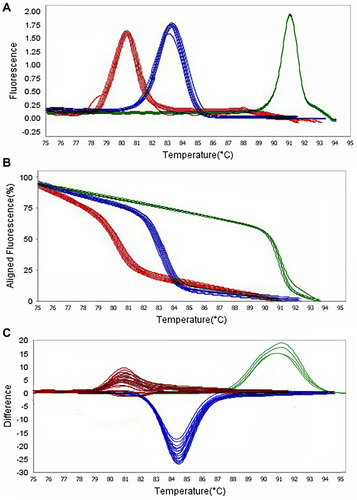 Figure 6 Representative high resolution melting graphs corresponding to one high resolution melting analysis of MDR and XDR strains of P. aeruginosa (n = 39). Curves of tested samples identified as blaTEM carrier are shown in red, blaSHV carrier are shown in blue, and mcr-1 carrier are shown in green. β-lactamases genes were amplified successfully using the EvaGreen Dye in the ABI Step-OnePlus machine by one-sept protocol. (A) Melting curves; (B) Normalized plot; and (C) Difference plot. Positive control: P. aeruginosa NCTC 13,359.