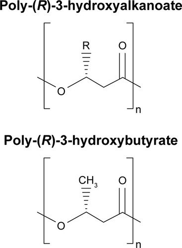 Figure 3 Structure of poly-(R)-hydroxybutyrate (polyhydroxyalkanoate, PHA).