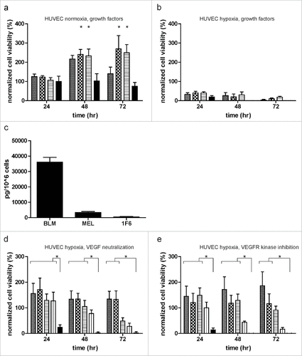 Figure 3. Melanomas mediate endothelial cell (EC) survival under hypoxia, independent of the VEGF signaling pathway. (a,b) ECs were treated with 10 ng/mL VEGF (Display full size) or 200 ng/mL bFGF (Display full size) alone, or in combination (Display full size). Cell survival was monitored under normoxia (a) and hypoxia (b) for up to 72 h. (c) Levels of VEGF (pg/ 1 × 106 cells) in serum-free melanoma conditioned medium (SF-CM) as detected by ELISA. Data were normalized to the number of cells used to generate the SF-CM and are expressed as mean ± SD of quadruplicate samples. (d, e) Effect of VEGF pathway inhibition on EC survival under hypoxia. ECs were treated with undiluted and twice diluted melanoma conditioned medium in the presence of (d) VEGF neutralizing antibody (0.3 µg/mL) or (e) VEGFR kinase inhibitor (0.3 µg/mL) (undiluted melanoma CM: Display full size; undiluted melanoma CM with neutralizing antibody/inhibitor: Display full size; twice diluted melanoma CM: Display full size; twice diluted melanoma CM with neutralizing antibody/inhibitor: Display full size; and basal medium: Display full size). Normalized cell viability (%) data in (a, b, d, and e) is expressed relative to treatment with basal medium (DMEM + 10% FBS) at 24 h normoxia and represent mean ± SEM of three independent experiments, conducted in triplicate. *p < 0.05.