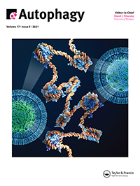 Cover image for Autophagy, Volume 17, Issue 5, 2021