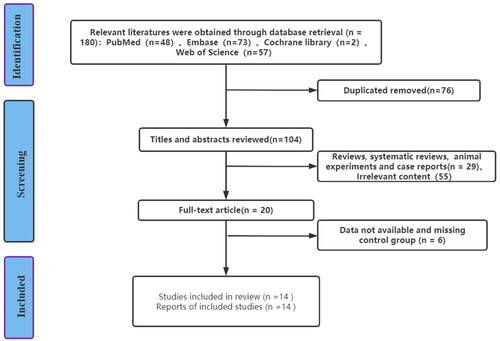 Figure 1. Flow chart of literature screening.