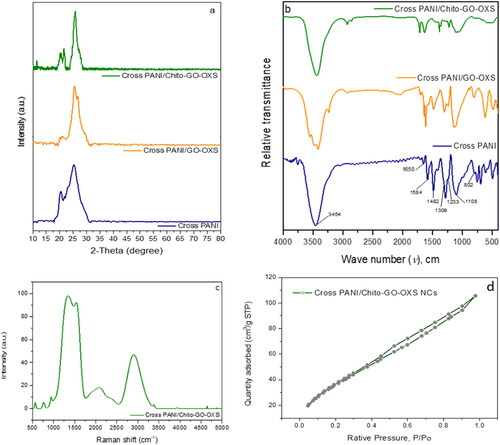 Figure 3. XRD patterns (a) and FTIR spectra (b) of Cross PANI, Cross PANI/GO-OXS, and Cross PANI/Chito-GO-OXS NCs; RAMAN spectra (c) and (d) isotherm curve of Cross PANI/Chito-GO-OXS NCs.