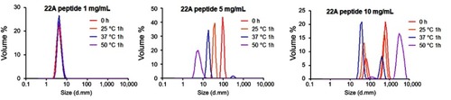 Figure S5 Dynamic light scattering (DLS) profiles of 1, 5, and 10 mg/mL solutions of 22A peptide before and after 1-hr incubation at 25°C, 37°C, and 50°C.