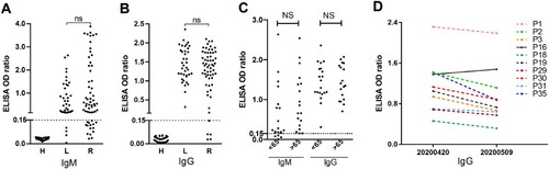 Figure 4. Antibody profiles. IgM (A) and IgG (B) antibody levels were compared between a group of long-term carriers (L, n = 38), a group of patients who recovered from COVID-19 (R, n = 60) who shared similar disease time courses, or a group of healthy donors (H, n = 30). A recombinant SARS-CoV-2 RBD protein was detected as the antigen in ELISA tests. OD450 values are shown. NS, non-significant. Neutralizing titers of serum samples from long-term carriers were tested and are shown in Supplementary Table 1. (C) Comparison of antibody levels in long-term carriers in different age groups. Patients were grouped, depending on whether they were younger or older than 65 years old. (D) Kinetics of antibody responses in long-term carriers. Ten patients were followed for antibody detection 20 days after the investigation on April 20. Their IgG antibody levels are shown.