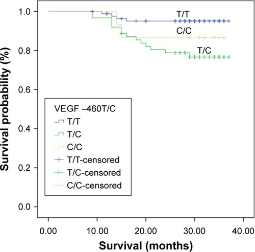 Figure 1 Influence of VEGF –460T/C genotypes on OS.