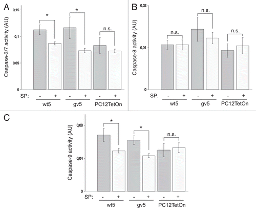 Figure 5 SP600125 treatment attenuates caspase activation by Chp in PC12 cells. Caspase-3/7 (A), caspase-8 (B) and caspase-9 (C) activities in parental PC12TetOn and wt5 and gv5 cells grown on collagen IV in 96-well plate for 48 hrs in the presence of DOX and in the presence (+) or absence (−) of 10 µM of SP600125 (SP). Data are processed and presented as in Figure 3. *p < 0.05; n.s.—the difference is not statistically significant.