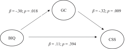 Figure 2. Direct Effects of Behavioral Inhibition and Group Cohesion on Client Satisfaction.