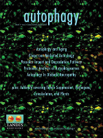 Cover image for Autophagy, Volume 1, Issue 3, 2005