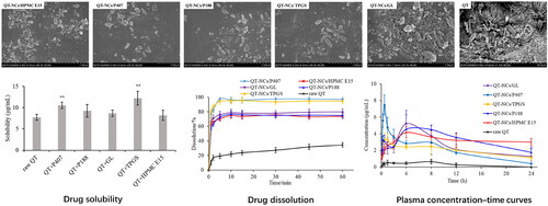 Quercetin nanocrystals stabilized by different functional stabilizers exhibited various drug solubility, dissolution and oral absorption.