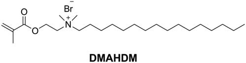 Figure 12. Structure of DMAHDM.