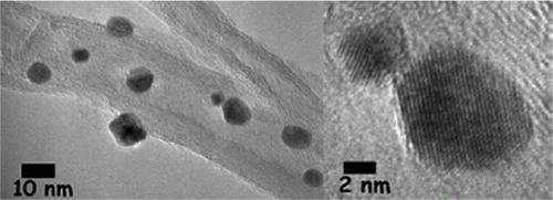 Figure 21.  Palladium nanoparticles adsorbed onto carbon nanotubes (78). Reproduced by permission of the Royal Society of Chemistry.