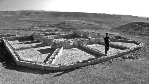 Figure 3 Negev Highland winepress. This Byzantine industrial winepress sits atop the acropolis of Oboda (photo Gideon Avni).