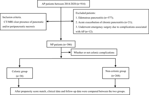 Figure 1 Flow chart of patient enrollment and follow-up.