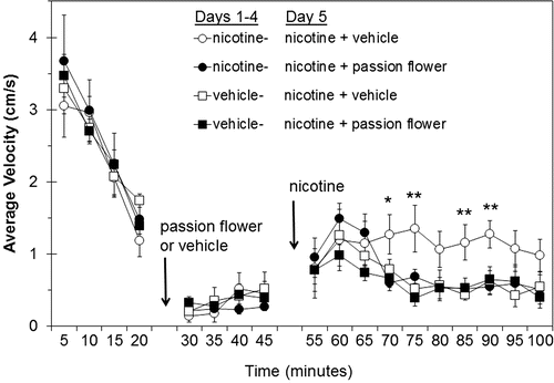 Figure 2.  Spontaneous locomotor activity of rats on the day of the pretreatment and nicotine challenge (day 5). Separate groups of 8–10 rats were treated once/day for four days (Days 1–4) with 0.4 mg/kg nicotine or vehicle. On day 5, each rat was monitored for spontaneous activity for approximately 25 min before i.p. pretreatment with passion flower or vehicle, and were then monitored for another 25 min before receiving an s.c. challenge dose of nicotine. Data shown are the average ± SEM of the mean velocity of each rat over each 5 min period of monitoring. Gaps at 20–25 min and 45–50 min were due to interruption of data collection when animals were removed from the chambers for injection. Significant differences between groups were determined by analysis of variance by time point, with comparisons among the four treatment groups made by Tukey’s multiple comparison procedure. *p < 0.05, **p < 0.01 indicates at each time point when the activity of the groups was different from each other. The nicotine-vehicle group was the only one that was different from any of the others at any time point.