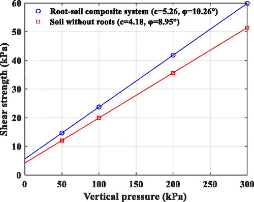 Figure 13. effect of reinforcement with Artemisia ordosica (Artemisia ordosica Krasch.) roots.