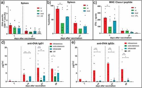 Figure 3. Endogenous T and B cell responses. Kinetics of endogenous T and B cell responses against ovalbumin was compared after different routes of injection. Wild-type C57BL/6 mice were injected with 0,172 mg of PLGA nanoparticles (containing 6ug Ovalbumin and 30ng IMM60) via different routes. 7, 14, 21 and 28 days later, mice were euthanized, serum and spleens were isolated. (a) Ovalbumin-specific CD8 + T cells were analyzed by fluorescent H-2Kb-SIINFEKL Dextramer binding. % of specific cells to all CD8 T cells were demonstrated. N = 10–12 mice per group. (b) Some of the mice were transferred with ovalbumin peptide-loaded target cells on days 6 and 13 after vaccinations. Antigen-specific toxicity is shown as % of target cells killed in host 1 day after transfer. N = 5–8 mice per group. (c) Splenocytes were isolated from the mice that did not receive target cells. The same number of cells were incubated with ovalbumin derived peptides [MHC class I binding SIINFEKL] (c) on 96-well IFN-γ ELISPOT plates for 24 hours. The mean value of three wells per mouse is demonstrated. N = 5–9 mice per group. (d, e) Serum samples isolated at indicated time points were evaluated for IgG1 (d) and IgG2 c (e) anti-ovalbumin antibodies by ELISA. N = 5–8 mice per group. Each mouse is depicted as a dot with mean values of groups.(a,b,c) Unpaired t-test with Welch’s correction; (d,e) Two-way ANOVA was used for statistical analysis