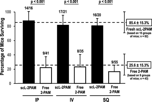 Figure 10 Comparison of different routes of administration on ability of scL-2PAM to rescue mice from otherwise-lethal paraoxon exposures. Paraoxon at 4x LD50 was administered to groups of mice. At one minute after the paraoxon exposures, atropine at 1.1 mg/kg was administered IP along with either free 2-PAM or scL-2PAM given either intraperitoneally (IP), intravenously (IV) or subcutaneously (SQ). Bars represent weighted mean survival rates with error bars representing the weighted standard deviations. Numbers above each bar represent the survivors and total mice used for survival assessment. For comparison, the upper dashed line and error bars are the values obtained with freshly prepared scL-2PAM from Figure 7A. The lower dashed line represents the survival rate for mice receiving free 2-PAM from Figure 7A. The percentage of mice surviving after receiving scL-2PAM were comparable for all routes of its administration and significantly higher than the corresponding survival rate in mice receiving free 2-PAM (p<0.001).