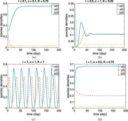 Figure 3. Sample dynamics: (a) grazer extinction (terrestrial r and c); (b) coexistence oscillations to coexistence steady state (mixed r and c); (c) coexistence oscillations (aquatic r and c); (d) coexistence at a steady state (mixed r and c).