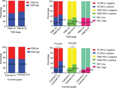 Figure S3 Association of CD8 and checkpoint-associated molecules with initial TNM stage and Fuhrman grade.Abbreviations: PD-1, programmed cell death protein 1; PD-L1, ligand of PD-1; TC, tumor cells; TIMC, tumor infiltrating mononuclear cells.