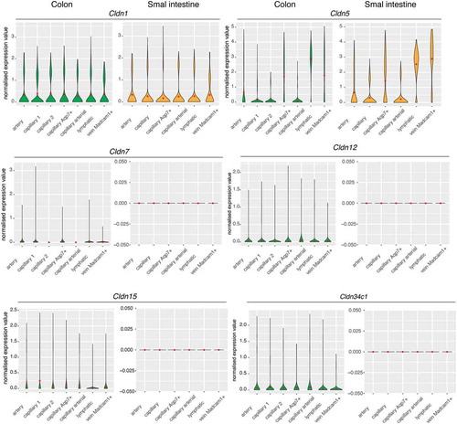 Figure 6. Single-cell gene expression profiles of claudins in the intestine