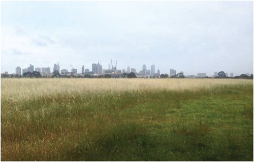 Figure 1. Royal Park, Parkville looking toward Melbounre’s central business district. The parkland was a pre-colonial Kulin nations’ meeting ground. Photograph: Cafuego, 2014.