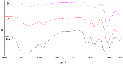 Figure 1. FT-IR curves of: (a) CTS, (b) 1-naphthol loaded and (c) 2-naphthol loaded CTS film.