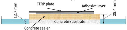 Figure 7. Specimen used to determine durability via half immersing (Amidi & Wang, Citation2016a).