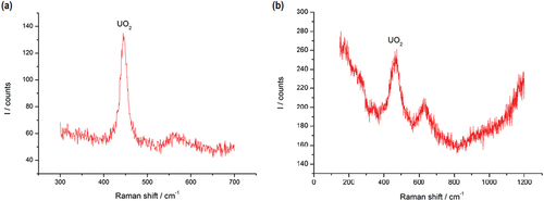 Fig. 10. Raman spectra of (a) sample E and (b) sample F, after prolonged exposure to air. The peak at ~445 cm−1 corresponds to the vibrational T2g line in UO2 (CitationRef. 23).