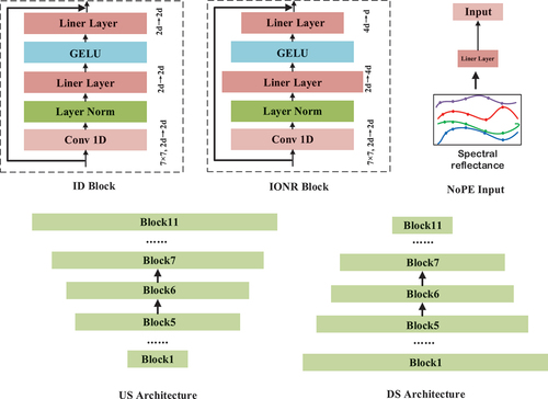 Figure 5. The different sections between the five different network structures and VPSNet. ID indicates that the dimensionality of the hidden layer within the block remains invariant. IONR indicates that the dimensionality of the hidden layer within the block is non-asymmetric.NoPE indicates that only the spectral reflectance serves as the input for the classification model.Us indicates that the classification model presents an upsampling form. DS indicates that the classification model exhibits a downsampling form.