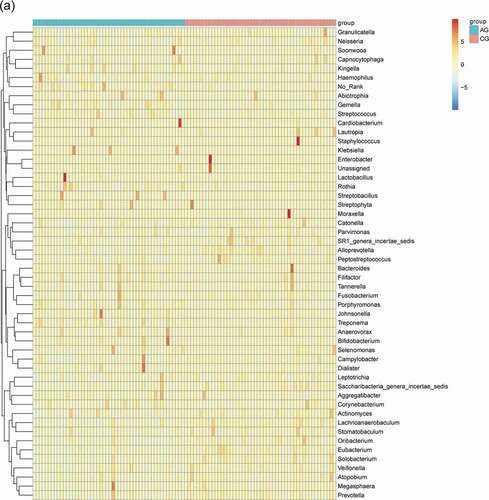 Figure 3. Heatmap shows the relative abundance (>1%) of species isolates (columns) in all samples (rows) and species are clustered accordingly at the genus level, normalized and Z-score transformed. Color gradient from blue to red indicates species abundance from small to large. (a) Bacteria (b) Fungi