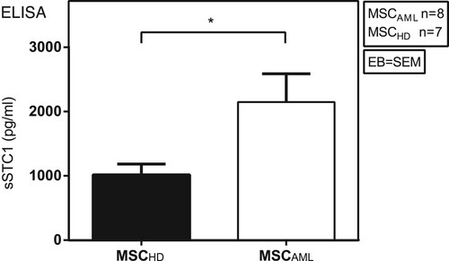 Figure 4. MSCAML secrete higher amounts of STC1 than MSCHD. Soluble STC1 (sSTC1) concentration (pg/ml) was determined by ELISA in mono-culture supernatant of MSCAML (n = 8; AML samples 8–14 and 27) compared to MSCHD (n = 7) with duplicate measurements, data are presented as mean +/− SEM; p = 0.0412.