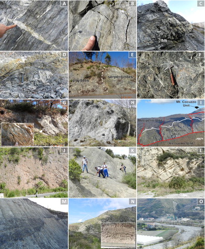 Figure 3. Field photographs of rock types outcropping in the study area. (A) Phyllites with well foliation and quartz mullions in transposed fold hinge crosscutted by vein quartz infilled tension gashes; (B) dark metacalcarenites; (C) quartzite interbedded to phyllite; (D) isoclinal hinge fold in quartzite layers; (E) macroscopic fold core involving serpentinites and phyllites; (F) serpenitites; (G) orthogneiss Unit made by augen milonitic gneiss; (H) megalodon rich dolostones; (I) overthrust of the Metapelite Units on the Mt. Cocuzzo Unit (the thrust is offset by Neogene-Quaternary major faults); (J) matrix and clast-supported Serravallian conglomerates; (K) well stratified Serravallian sandstones (the bed show conglomerates at the base evolving amalgamated layer and siltstone); (L) Tortonian calcarenites (bioclastic/siliciclastic mixed arenites) showing low- and high-angle cross stratification of tidal environment; (M) clays and marls of upper Tortonian age (blackish and manganesiferous silty layers are interbedded); (N) Pleistocene terraced surface and particular of marine (beach face) deposits; and (O) alluvial deposits of the Licetto River near the Amantea town.