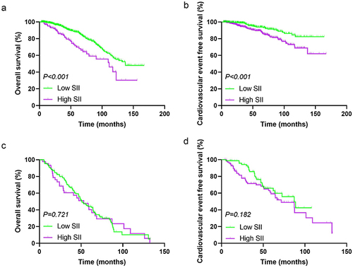 Figure 3 Kaplan–Meier estimates of overall survival and cardiovascular event-free survival by category of SII in different subgroups (a) Kaplan–Meier estimates of overall survival by category of SII in the group younger than 65-year-old; (b) Kaplan–Meier estimates of cardiovascular event-free survival by category of SII in the group younger than 65-year-old; (c) Kaplan–Meier estimates of overall survival by category of SII in the group older than 65-year-old; (d) Kaplan–Meier estimates of cardiovascular event-free survival by category of SII in the group older than 65-year-old.