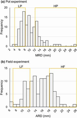 Figure 1. Frequency distributions of (a) max root diameter (MRD) in the pot experiment and (b) average root diameter (ARD) in the field experiment in the BC1F1 population. (a) The DNA of 20 individuals with low MRD (5.5 mm < MRD < 7.5 mm, LP) and the DNA of 20 individuals with high MRD (MRD > 12.5 mm, HP) were bulked as LP-bulk and HP-bulk in the pot experiment, respectively. (b) The DNA of 20 individuals with low ARD (7.0 mm < ARD < 12.0 mm, LF) and the DNA of 20 individuals with high ARD (ARD > 18.0 mm, HF) were bulked as LF-bulk and HF-bulk in the field experiment, respectively.