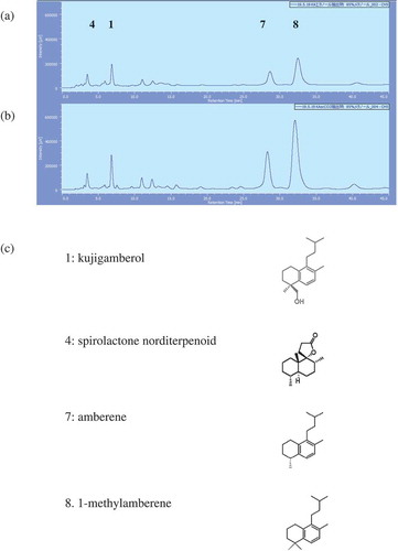 Figure 1. HPLC profiles of the extracts of Kuji amber and structures of each peak.(a) HPLC profile of the EtOH ext. of Kuji amber, (b) HPLC profile of the scCO2 ext. of Kuji amber.Injection: 50 μg, Flow rate: 1.0 ml/min, Solvent: 85% MeOH, Detector: 205 nm, Pump: PU-2080 (Nihon Bunko Co. Ltd.), Detector: PDA (MD-2018), Column: CAPCELL PAK C18（ODS 4.6 mmφ ×150 mm, TYPE UG 120 Å, 5 μm). (c) Structures of each peak.
