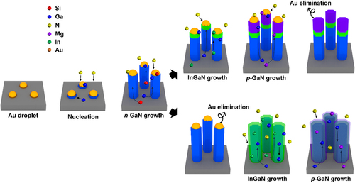 Figure 3. Schematic representation of VLS metal catalyst assisted III-nitride NW growth sequence process.