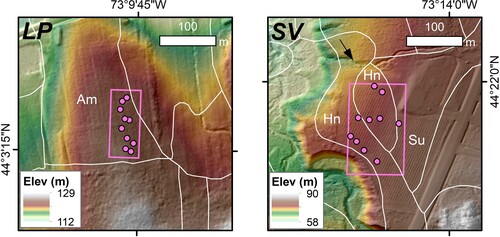 Figure 2. Maps of the LP (left) and SV (right) study sites. Background is a 0.7-m lidar dataset hillshaded and colored to enhance topography. Note that the range of elevations is different for the two sites. White lines delineate mapped soil series downloaded from the Web Soil Survey (https://websoilsurvey.sc.egov.usda.gov). Am is the Amenia series, Hn the Hinesburg, and Su the Stockbridge (see Table S1). Pink boxes outline the study sites in the Marquette block at each vineyard. Pink dots are the locations of the 20 auger holes (10 per site) where samples were collected. Arrow points to the natural gully at the north end of the SV site where additional samples from deeper sediment were obtained.