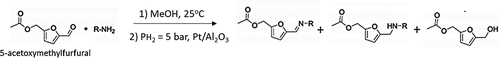 Figure 7. Scheme of reductive amination of AMF with different aromatic and aliphatic amines adapted from.[Citation24] Copyright permission from Elsevier Ltd.