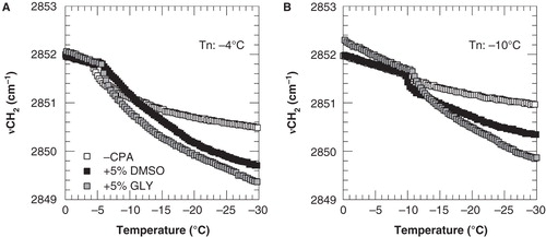 Figure 2. Membrane phase behavior of 3T3 cells during cooling in the absence of cryoprotective agents (open squares) as well as in presence of 5% DMSO (black squares) or glycerol (gray squares). Cell pellets were cooled from 20 to −40°C at cooling rate of 1°C min-1, and nucleated at either −4°C (A) or −10°C (B). The wavenumber position of the symmetric CH2 stretching vibration band is plotted as a function of the sample temperature.