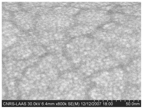 Figure 2 High-resolution SEM image of a granular Ni film (1 nm nominal thickness) deposited by thermal evaporation onto a SiO2 surface.